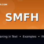 SMFH meaning in text - complete guide with examples - TextWordify